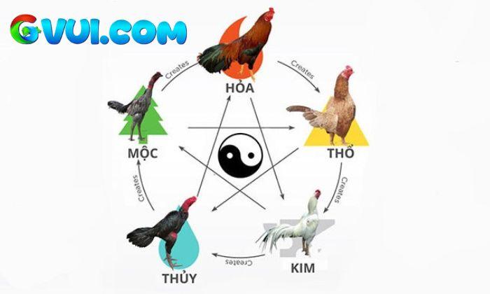 Cách áp dụng màu mạng đá gà trong thi đấu Cách áp dụng màu mạng đá gà trong thi đấu
