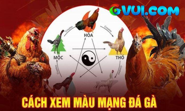 Giới thiệu về màu mạng đá gà Giới thiệu về màu mạng đá gà